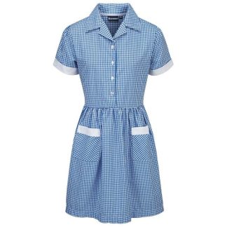 Blue Gingham Summer Dress