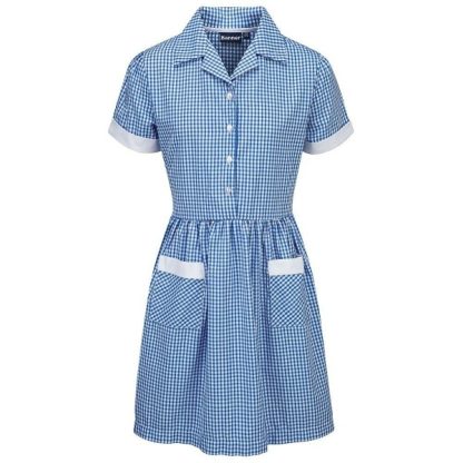 Blue Gingham Summer Dress