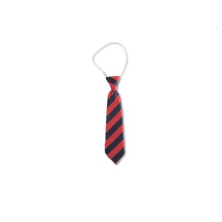 Elastic School Tie