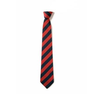Clip on School Tie