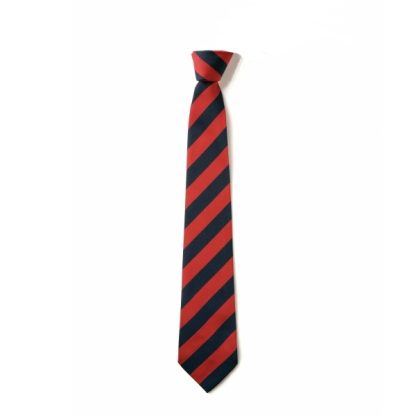 Clip on School Tie