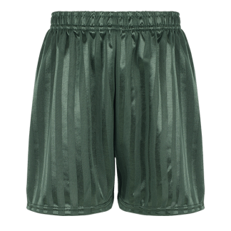 Bottle Green Shadow Stripe PE Shorts