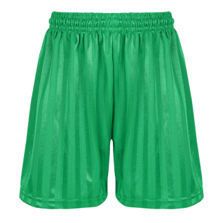 Emerald Green Shadow Stripe PE Shorts