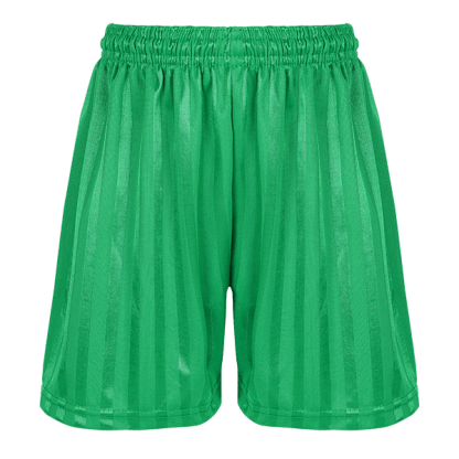 Emerald Green Shadow Stripe PE Shorts
