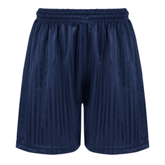 Navy Shadow Stripe PE Shorts