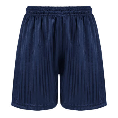 Navy Shadow Stripe PE Shorts